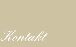 kontakt